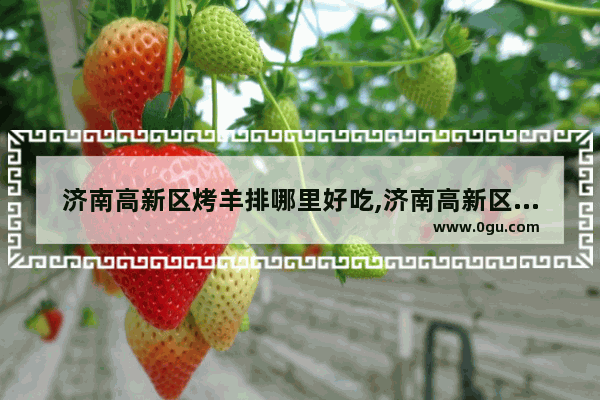 济南高新区烤羊排哪里好吃,济南高新区美食推荐餐厅有哪些品牌店