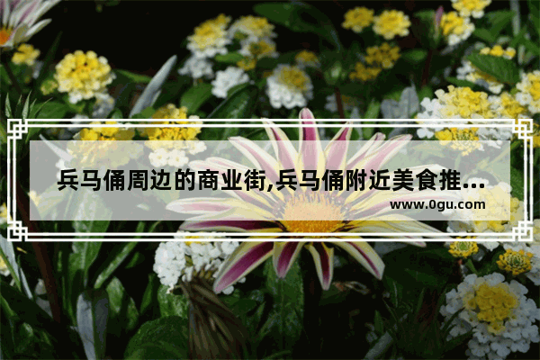 兵马俑周边的商业街,兵马俑附近美食推荐店有哪些餐厅好吃点的地方
