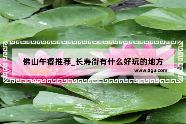 佛山午餐推荐_长寿街有什么好玩的地方