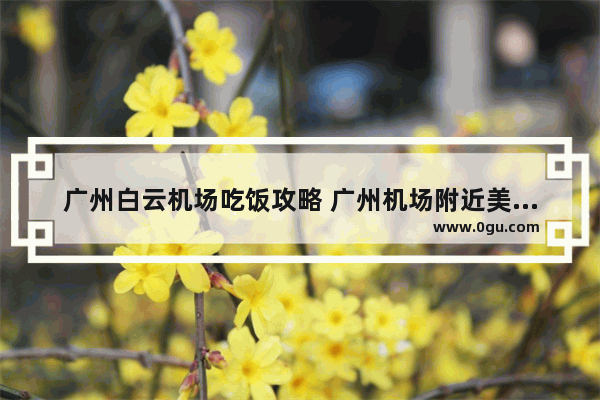 广州白云机场吃饭攻略 广州机场附近美食推荐店有哪些呢多少钱