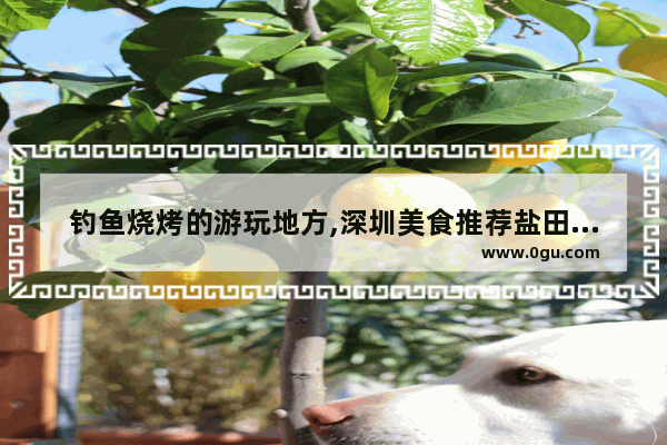 钓鱼烧烤的游玩地方,深圳美食推荐盐田海鲜烧烤哪家好吃又实惠