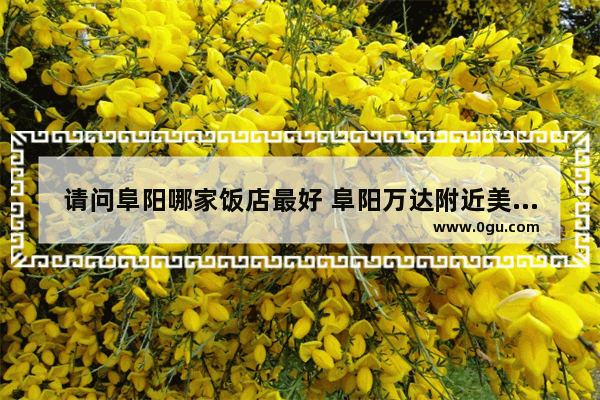 请问阜阳哪家饭店最好 阜阳万达附近美食推荐店有哪些餐厅好吃