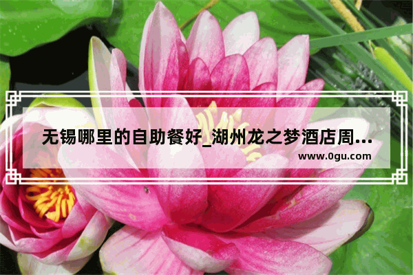 无锡哪里的自助餐好_湖州龙之梦酒店周边有哪些好吃的