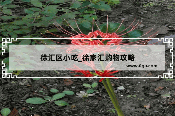 徐汇区小吃_徐家汇购物攻略