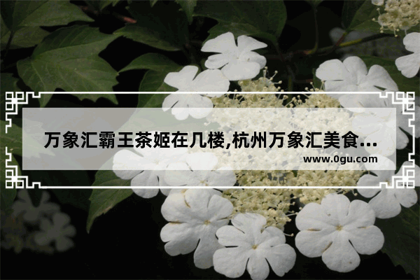 万象汇霸王茶姬在几楼,杭州万象汇美食推荐店在几楼啊