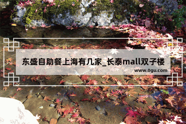 东盛自助餐上海有几家_长泰mall双子楼高度