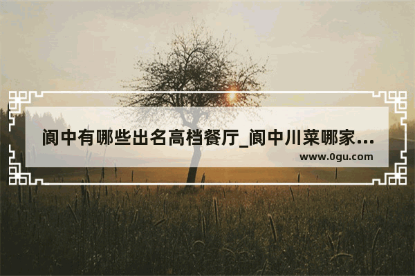 阆中有哪些出名高档餐厅_阆中川菜哪家好吃