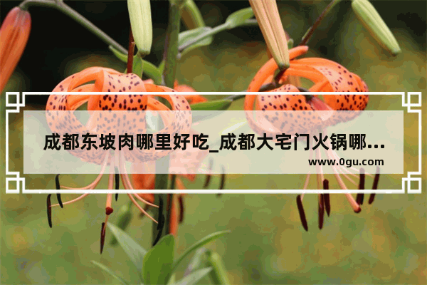 成都东坡肉哪里好吃_成都大宅门火锅哪家最好