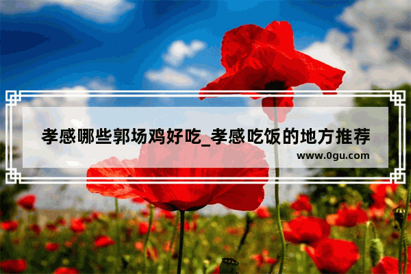 孝感哪些郭场鸡好吃_孝感吃饭的地方推荐