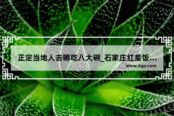 正定当地人去哪吃八大碗_石家庄红星饭庄十大招牌菜