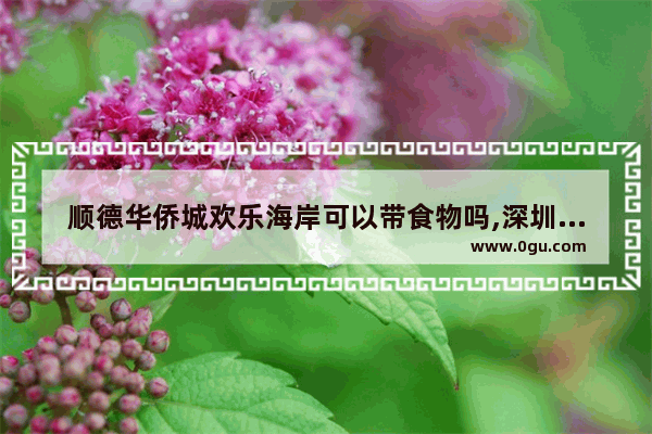 顺德华侨城欢乐海岸可以带食物吗,深圳欢乐海岸美食推荐店铺