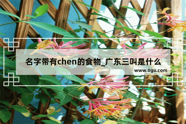 名字带有chen的食物_广东三叫是什么