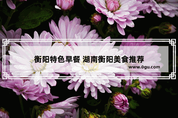 衡阳特色早餐 湖南衡阳美食推荐