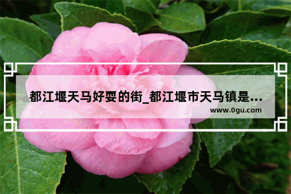 都江堰天马好耍的街_都江堰市天马镇是什么区
