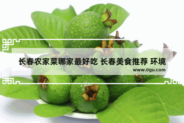 长春农家菜哪家最好吃 长春美食推荐 环境好的地方在哪里