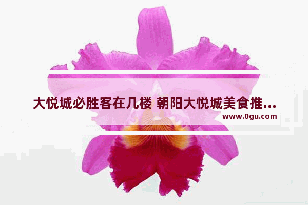 大悦城必胜客在几楼 朝阳大悦城美食推荐餐厅在几楼啊多少钱一个