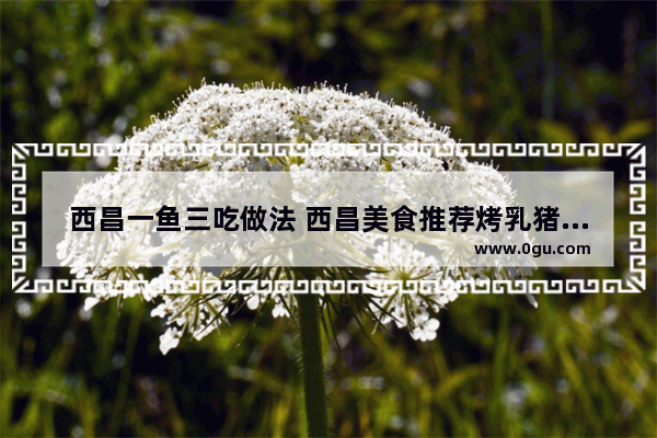 西昌一鱼三吃做法 西昌美食推荐烤乳猪肉店地址