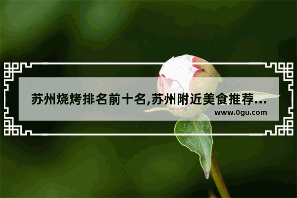 苏州烧烤排名前十名,苏州附近美食推荐排行榜前十名有哪些餐厅