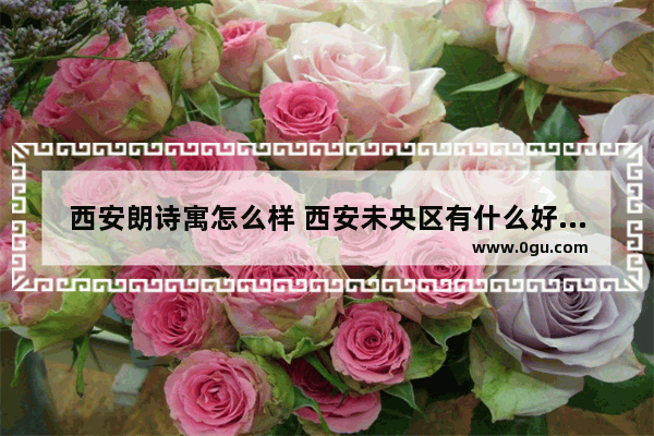 西安朗诗寓怎么样 西安未央区有什么好吃的美食推荐点外卖