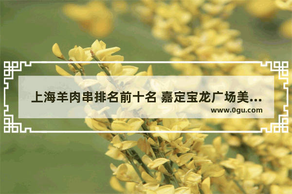 上海羊肉串排名前十名 嘉定宝龙广场美食推荐店有哪些品牌