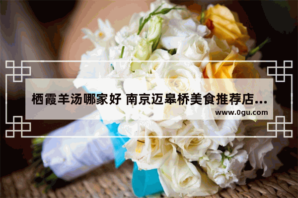 栖霞羊汤哪家好 南京迈皋桥美食推荐店有哪些