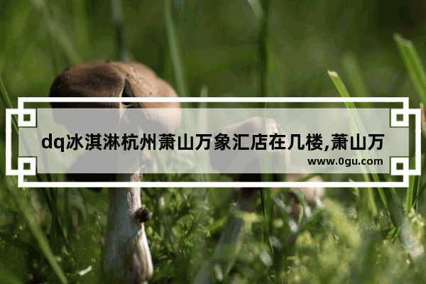 dq冰淇淋杭州萧山万象汇店在几楼,萧山万象汇美食推荐店