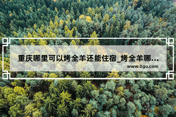 重庆哪里可以烤全羊还能住宿_烤全羊哪里最正宗