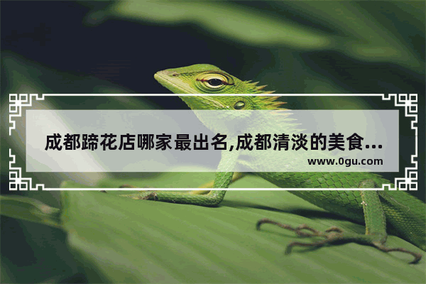 成都蹄花店哪家最出名,成都清淡的美食推荐店铺有哪些品牌