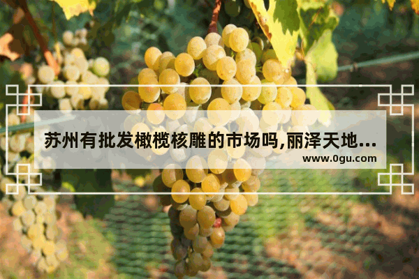 苏州有批发橄榄核雕的市场吗,丽泽天地美食推荐店铺有哪些
