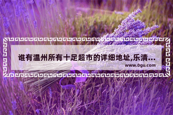 谁有温州所有十足超市的详细地址,乐清正大广场美食推荐店铺有哪些