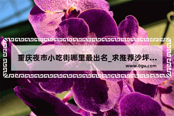 重庆夜市小吃街哪里最出名_求推荐沙坪坝好吃的小龙虾夜市