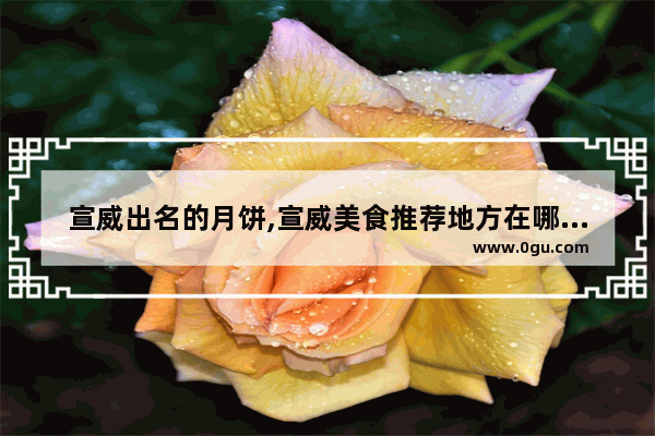 宣威出名的月饼,宣威美食推荐地方在哪里吃