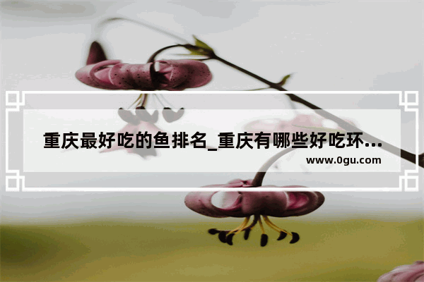 重庆最好吃的鱼排名_重庆有哪些好吃环境有适合亲子的餐厅