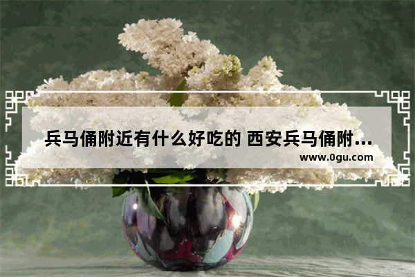 兵马俑附近有什么好吃的 西安兵马俑附近美食推荐地方有哪些好吃的饭店