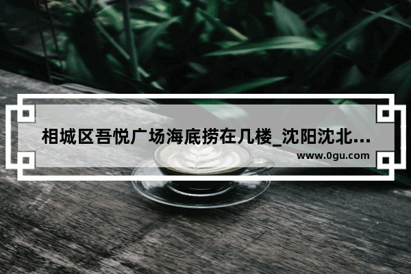 相城区吾悦广场海底捞在几楼_沈阳沈北吾悦广场有哪些品牌