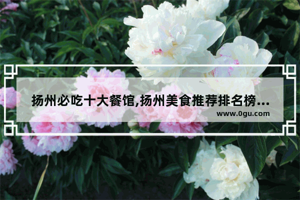 扬州必吃十大餐馆,扬州美食推荐排名榜前十名有哪些品牌