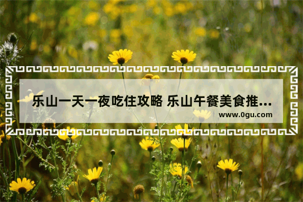 乐山一天一夜吃住攻略 乐山午餐美食推荐店铺有哪些地方好吃的