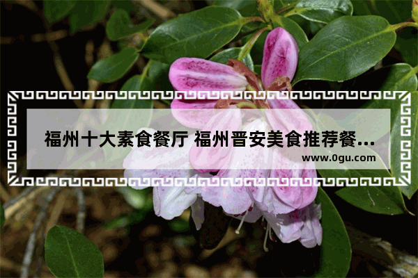 福州十大素食餐厅 福州晋安美食推荐餐厅有哪些地方好吃