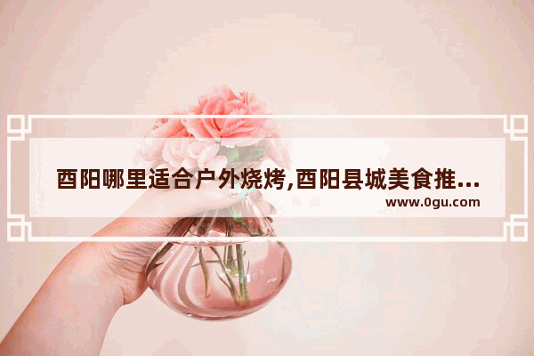 酉阳哪里适合户外烧烤,酉阳县城美食推荐店在哪里啊