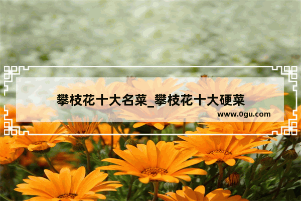 攀枝花十大名菜_攀枝花十大硬菜