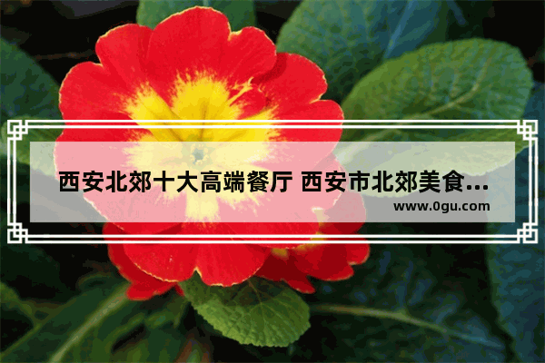西安北郊十大高端餐厅 西安市北郊美食推荐店有哪些餐厅好吃