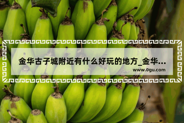 金华古子城附近有什么好玩的地方_金华猪猪乐园攻略