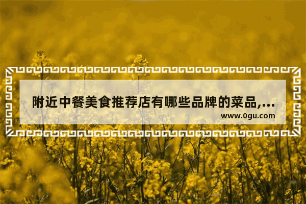 附近中餐美食推荐店有哪些品牌的菜品,附近中餐美食推荐店有哪些品牌的菜品