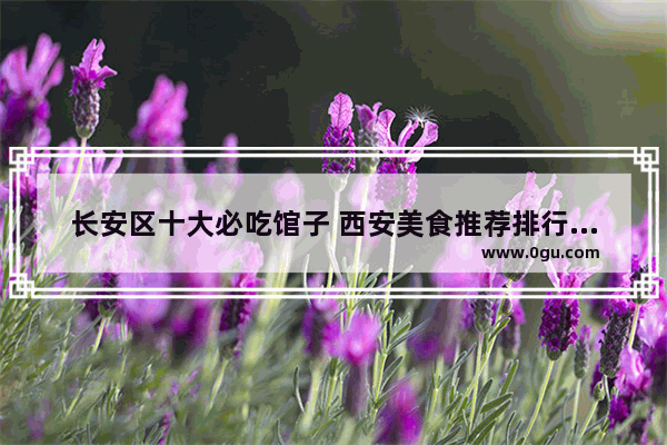 长安区十大必吃馆子 西安美食推荐排行榜前三名有哪些品牌店面