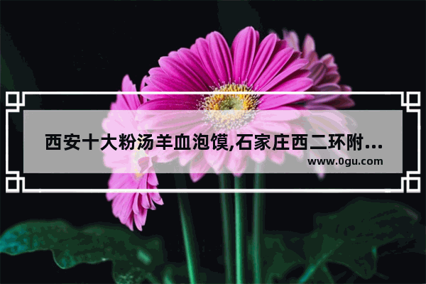 西安十大粉汤羊血泡馍,石家庄西二环附近美食推荐店铺