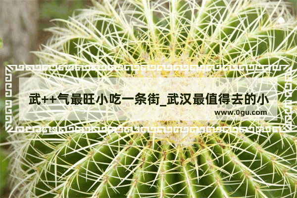 武++气最旺小吃一条街_武汉最值得去的小吃一条街