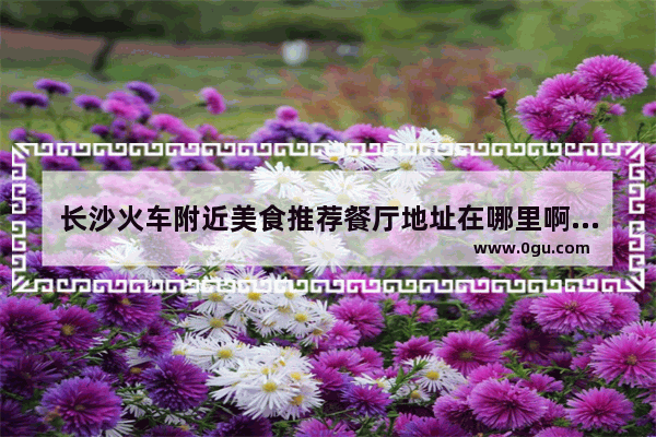 长沙火车附近美食推荐餐厅地址在哪里啊多少钱,长沙火车附近美食推荐餐厅地址在哪里啊多少钱