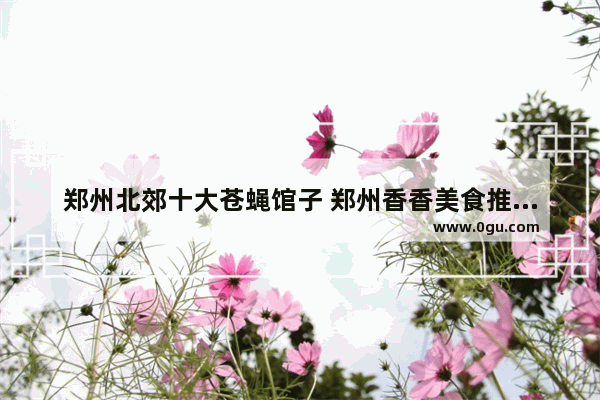 郑州北郊十大苍蝇馆子 郑州香香美食推荐的羊排店怎么样呀多少钱一位