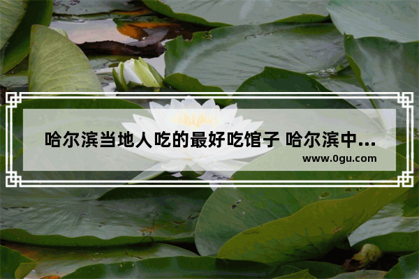哈尔滨当地人吃的最好吃馆子 哈尔滨中央大街美食推荐哪家好吃的地方