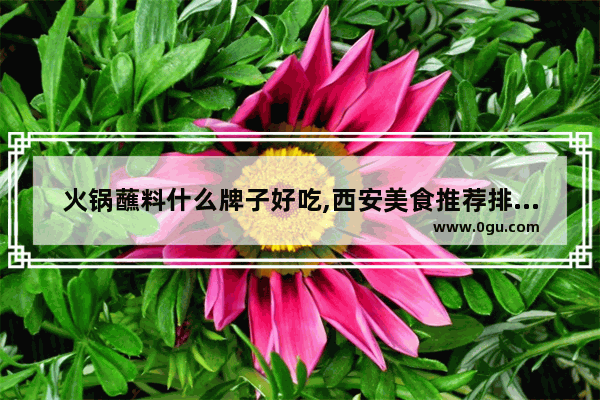 火锅蘸料什么牌子好吃,西安美食推荐排行榜前十名有哪些品牌的火锅蘸料